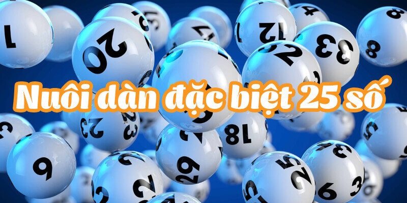 Dàn đặc biệt 25 con lẻ lẻ