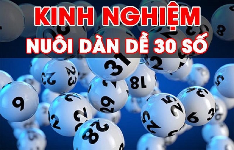 Một số kinh nghiệm nuôi dàn đề 30 số bạn có thể tham khảo