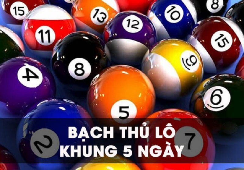 Nuôi lô bạch thủ khung 5 ngày là như thế nào?