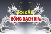 Soi cầu Rồng bạch kim chốt số miền Bắc hôm nay chính xác