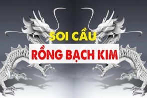 Soi cầu Rồng bạch kim chốt số miền Bắc hôm nay chính xác