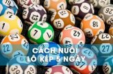 Kinh nghiệm nuôi lô kép khung 5 ngày bất bại từ cao thủ