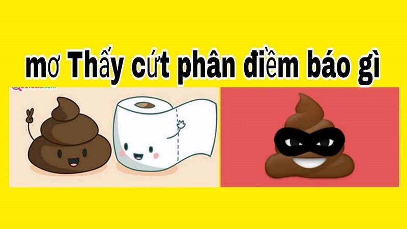 Nằm mơ thấy cứt ẩn chứa điềm báo gì?