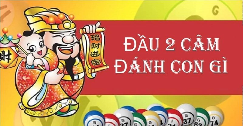 Đầu 2 câm là gì?