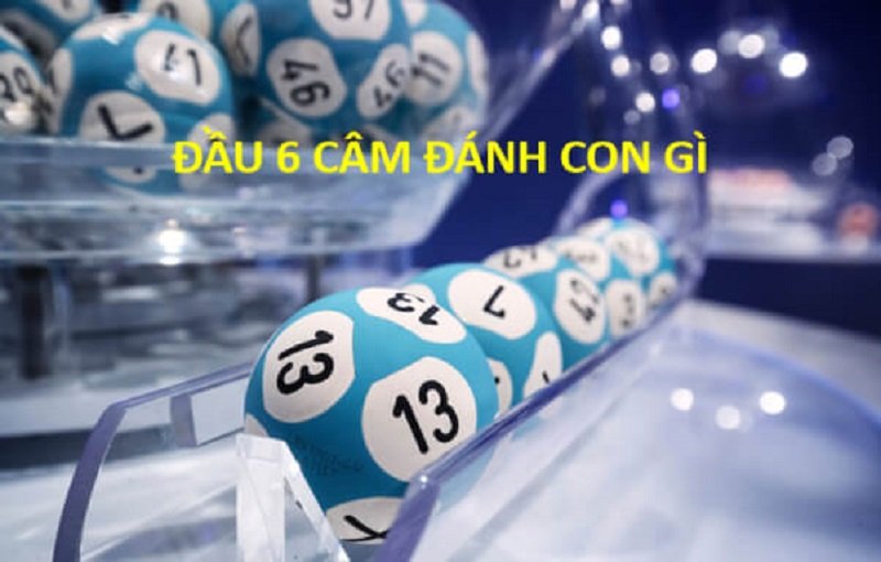 Đầu 6 câm là gì?