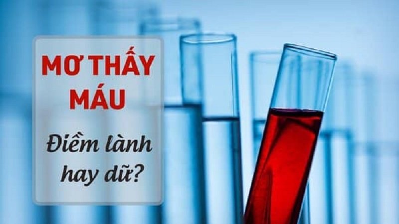 Nằm mơ thấy người khác đánh nhau chảy máu