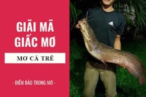 Mơ Thấy Cá Trê có điềm báo gì? Đánh con số bao nhiêu may mắn