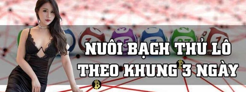 Tổng hợp cách nuôi lô bạch thủ khung 3 ngày chính xác