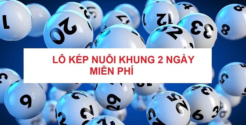 Cách bắt lô kép nuôi khung 2 ngày 555 hiệu quả