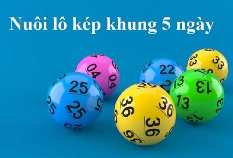 Hướng dẫn cách soi cầu lô kép khung 5 ngày bất bại