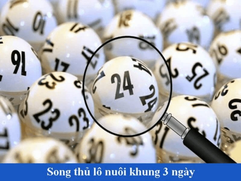 Vào tiền khi nuôi song thủ lô theo khung 3 ngày như thế nào? 