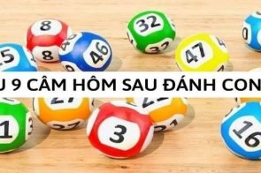 Đầu câm 9 có những con gì? Kinh nghiệm đánh đầu 9 câm