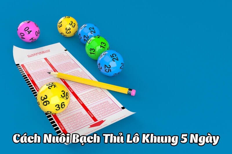 Phương pháp soi cầu bạch thủ lô nuôi khung 5 ngày chuẩn từ cao thủ