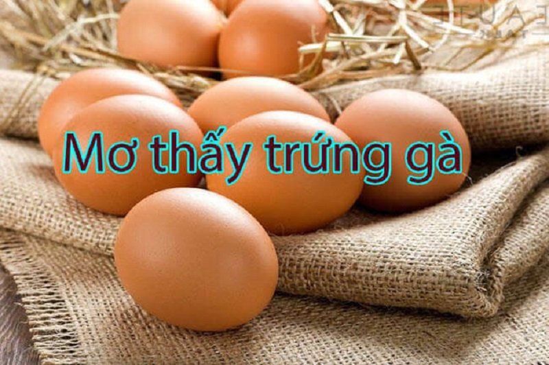 Mơ thấy trứng gà là điềm báo gì?