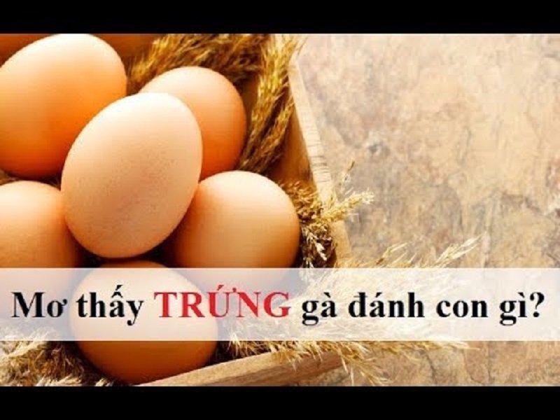 Mơ thấy trứng gà đánh con gì may mắn?